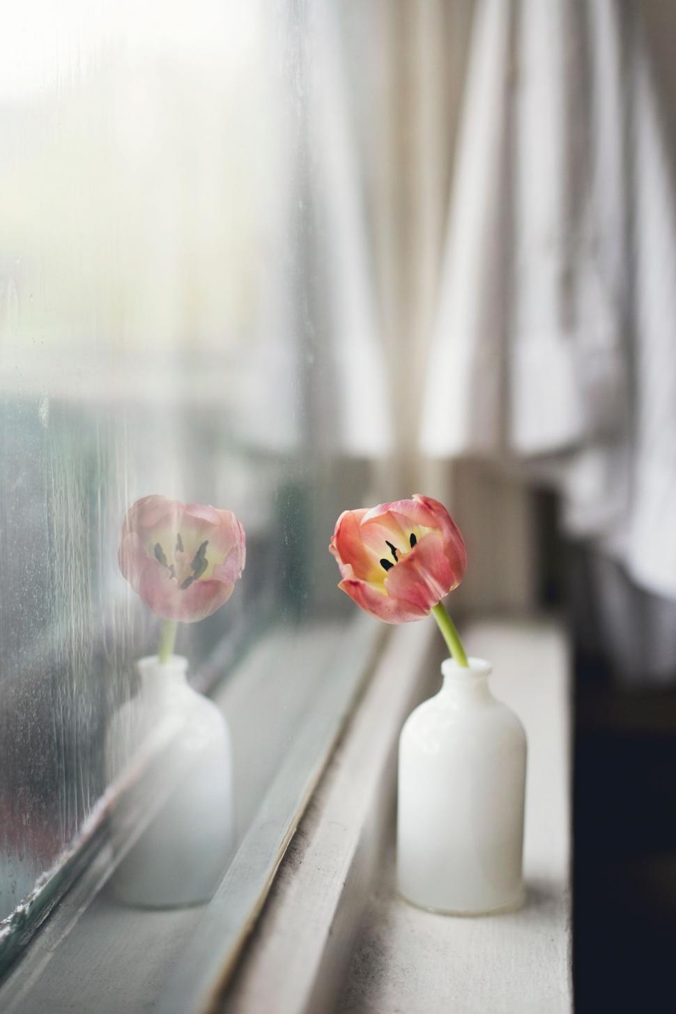 Free Image of Small Vase With Flower 