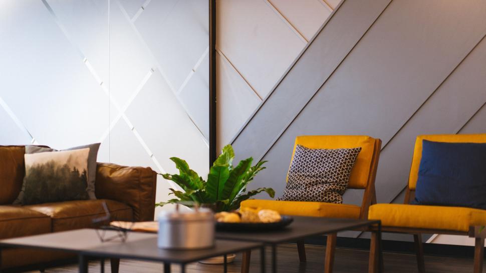 Free Image of A Spacious Living Room With Furniture and a Plant 