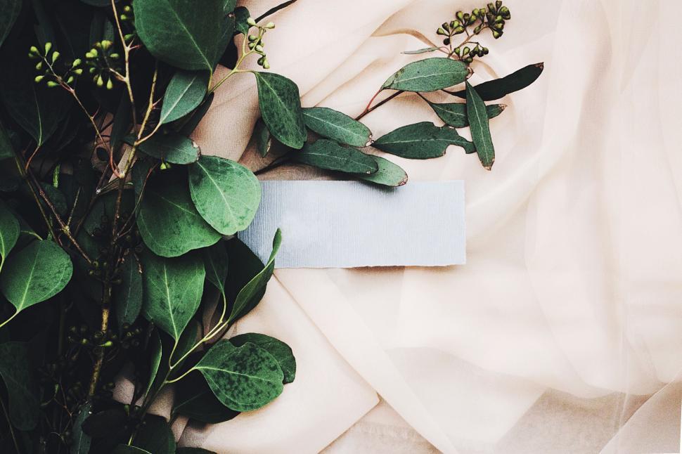 Free Image of White Sheet With Green Leaves 