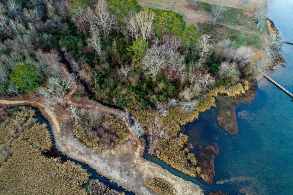 Free Image of Aerial View of Body of Water Surrounded by Trees 