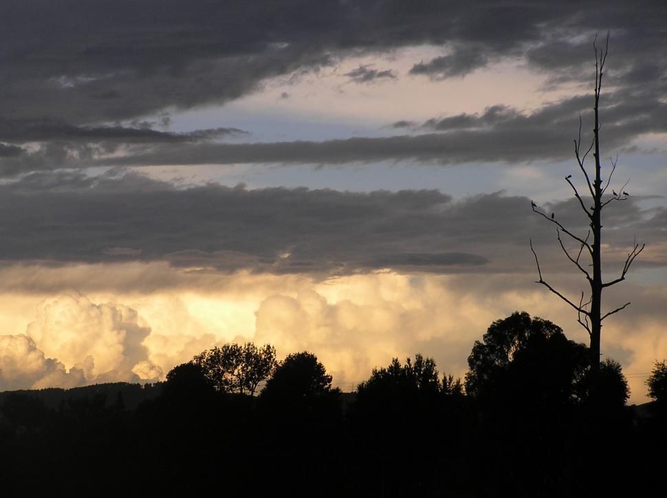 Free Image of Sunset and silhouettes 