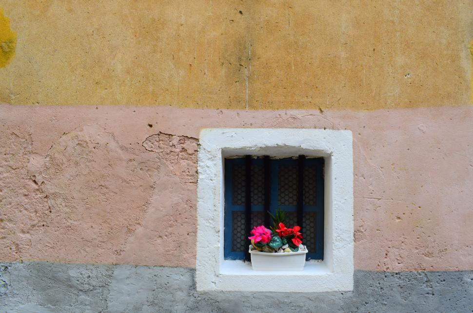 Free Image of Window With Potted Plant 