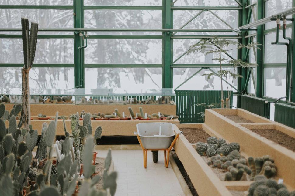 Free Image of Abundant Variety: A Room Overflowing With Diverse Plants 