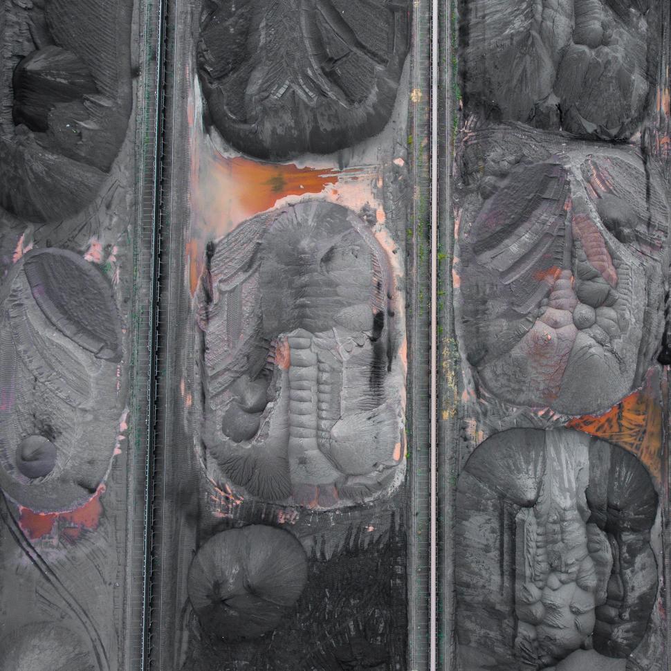Free Image of Intricate Carvings on a Wall 