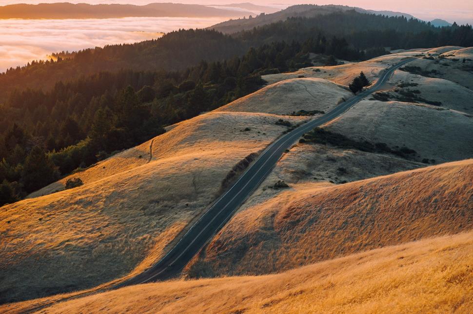 Free Image of Road Descending Down Hill in Field 