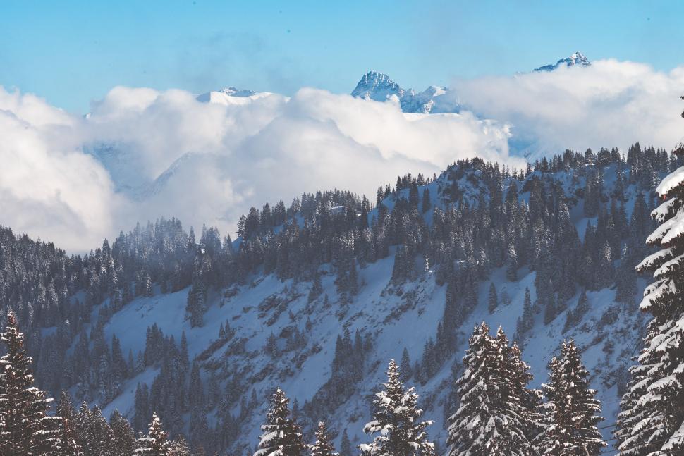 Free Image of Snow Covered Mountain With Trees in Foreground 