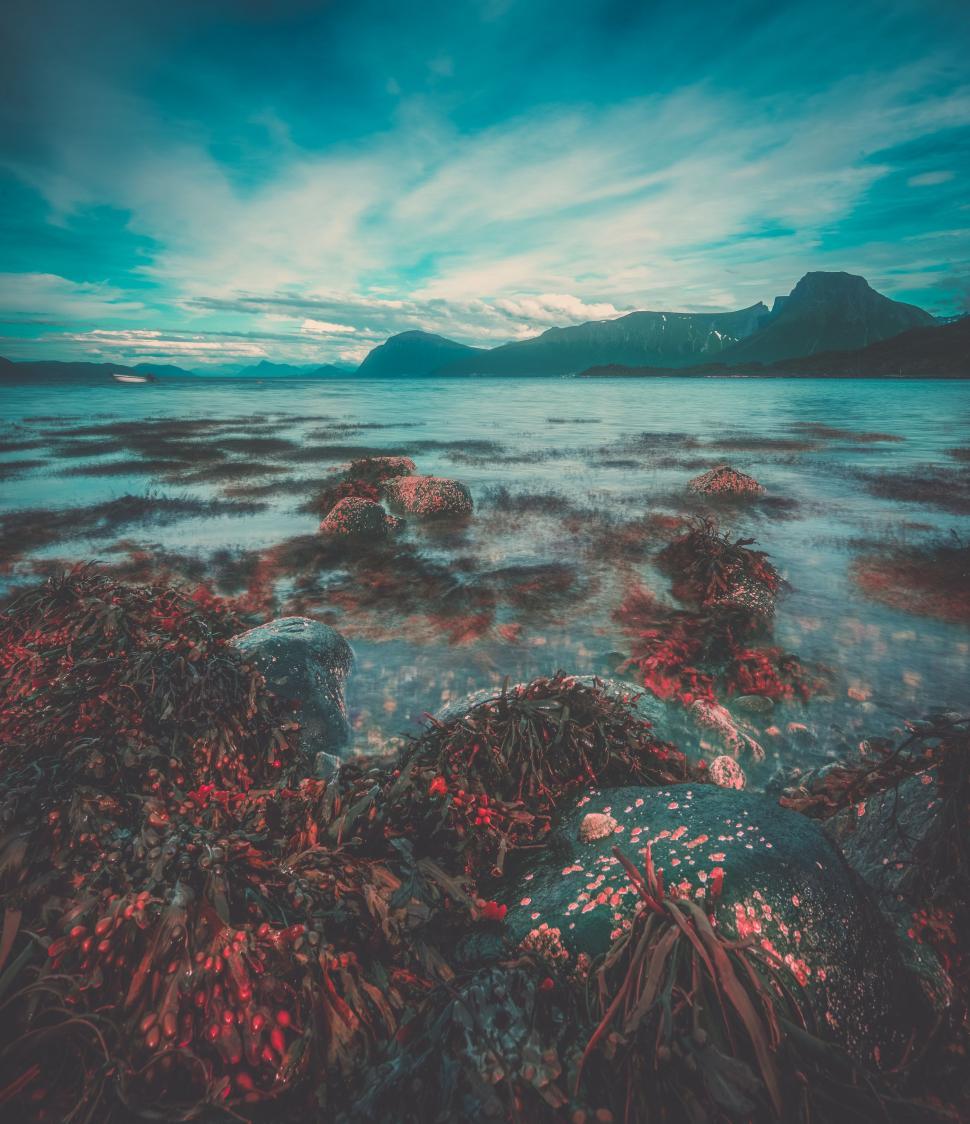Free Image of Tranquil Lake Surrounded by Rocks Under a Cloudy Sky 