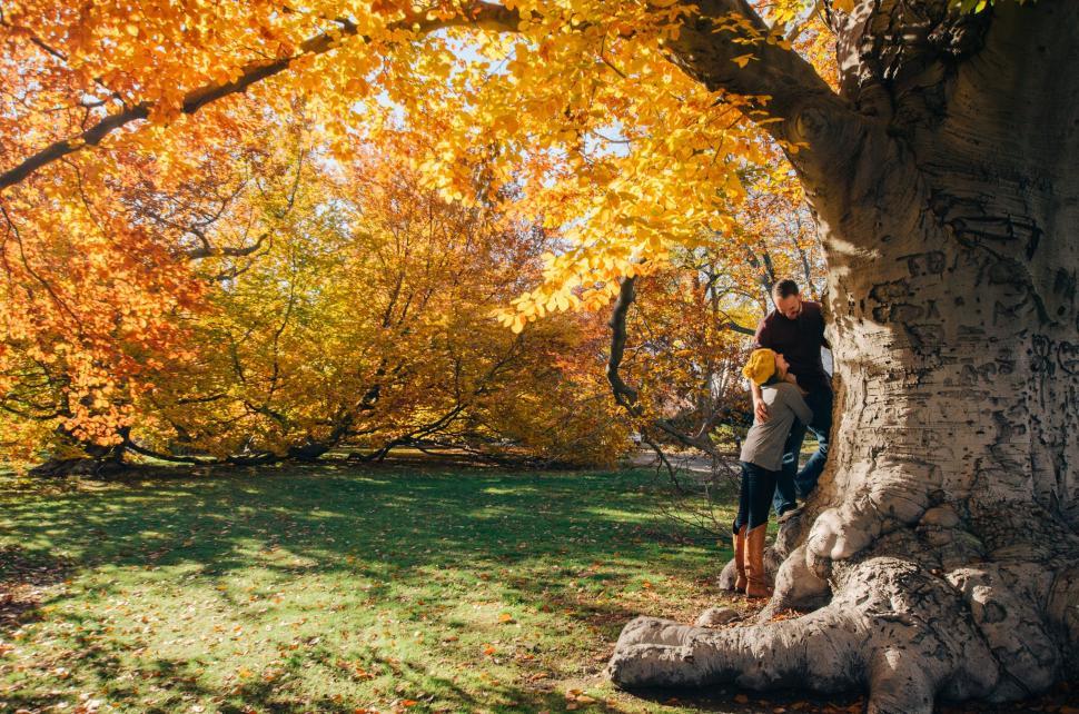 Free Image of Couple Standing on Top of a Tree 