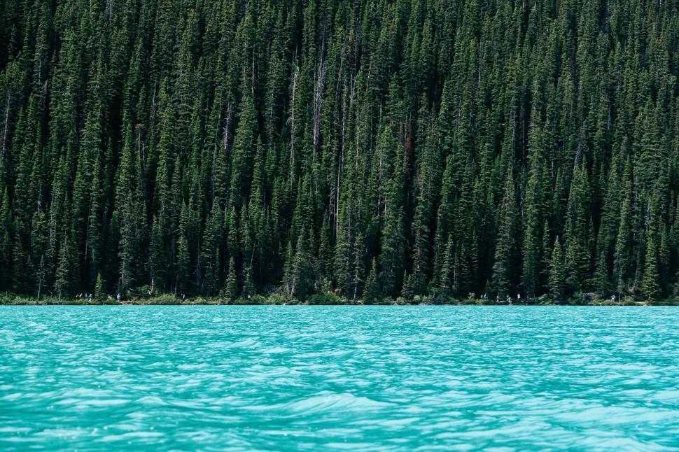 Free Image of Boat Floats on Lake Next to Forest 