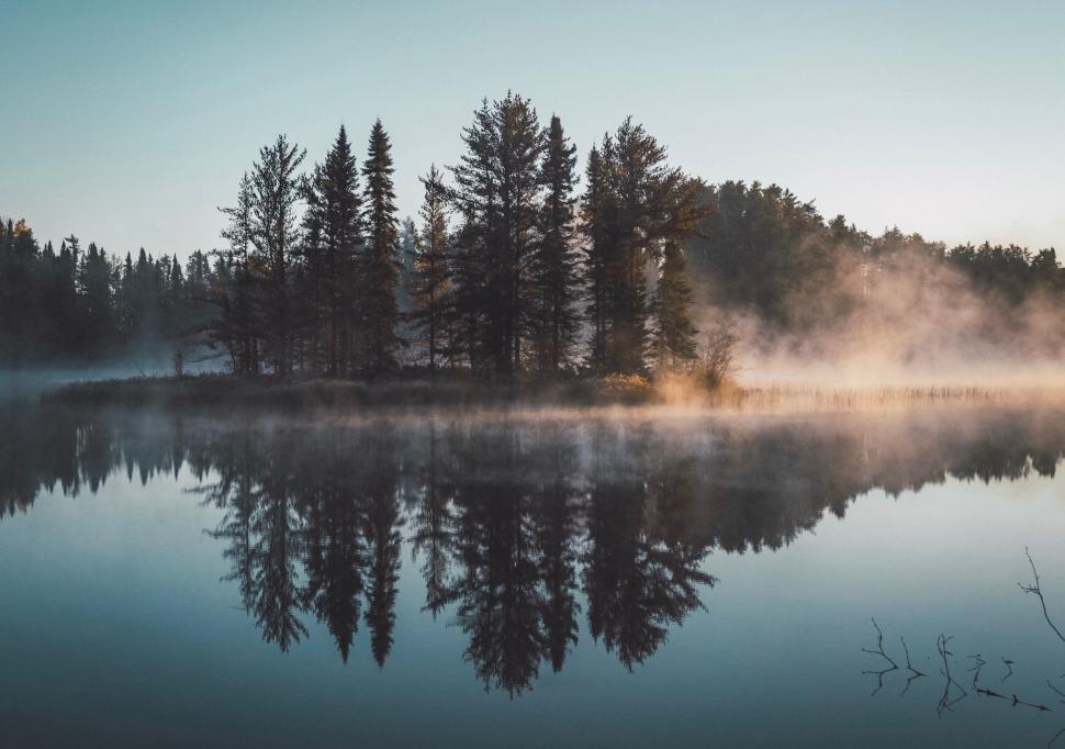 Free Image of Misty Lake Surrounded by Trees 