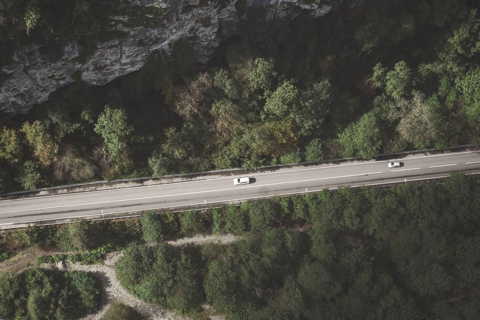 Free Image of Aerial View of Road Surrounded by Trees 