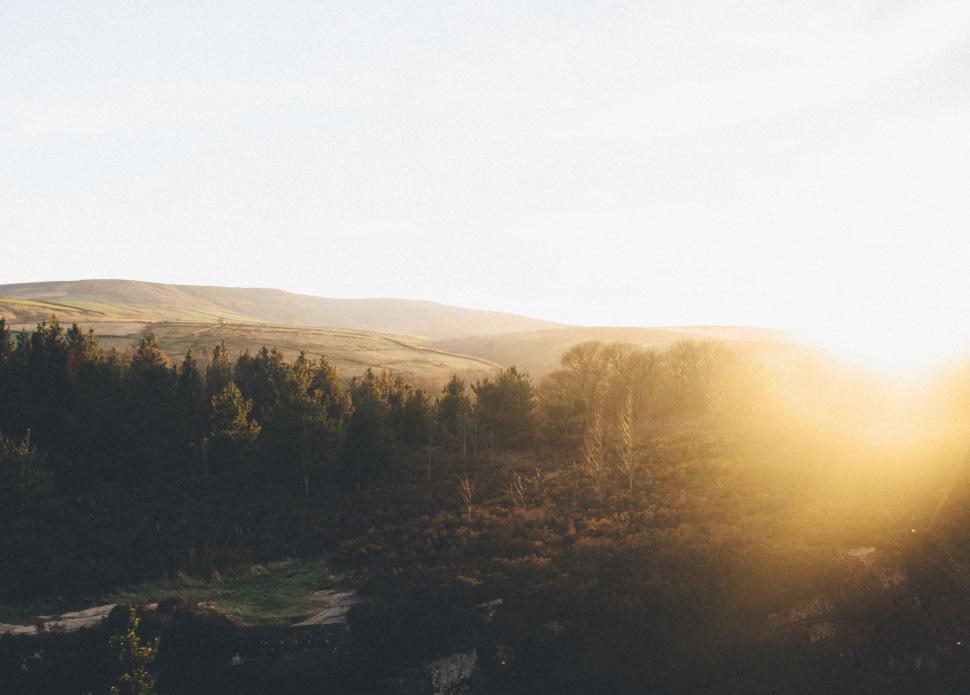 Free Image of Sun Shining Through Trees in the Mountains 