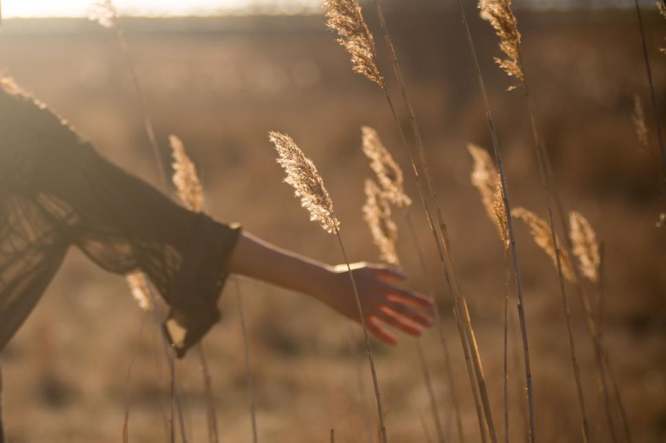 Free Image of Woman Standing in Tall Grass Field 