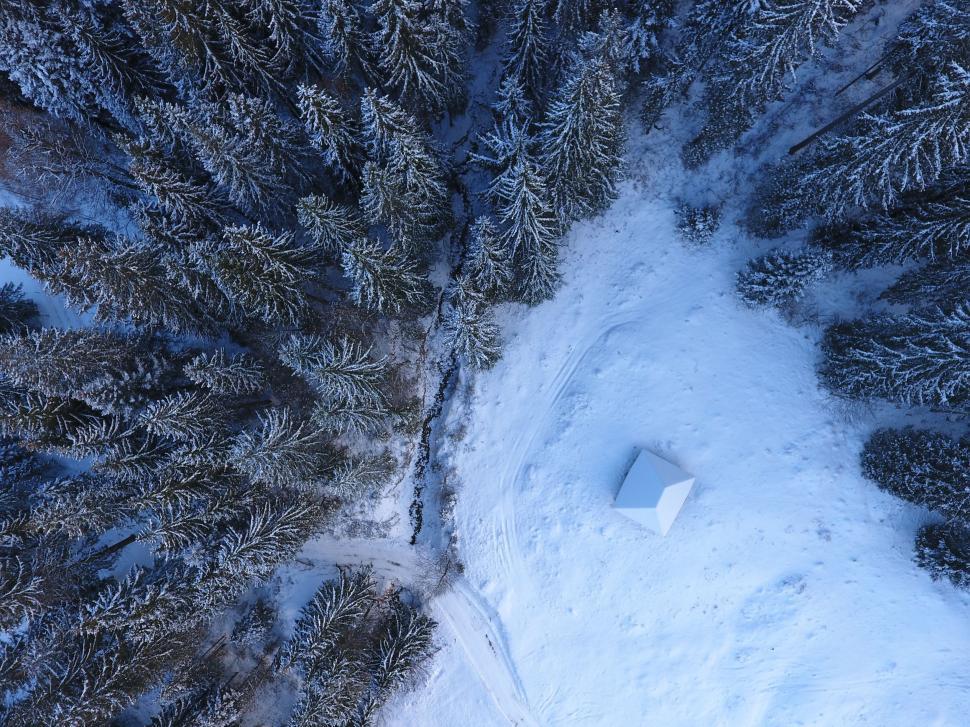 Free Image of Aerial View of Snow Covered Forest 