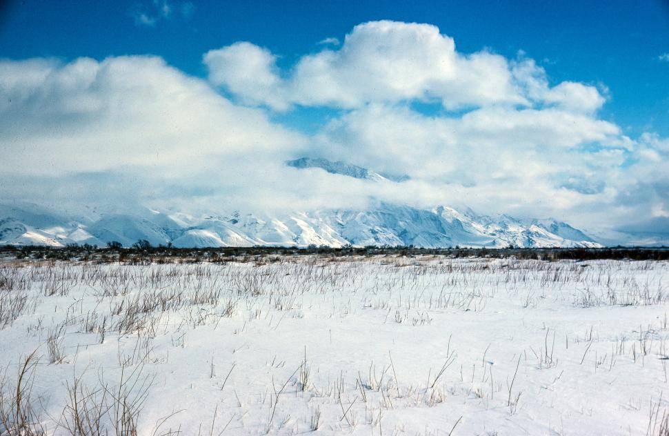 Free Image of Thick snow spread over the meadow 