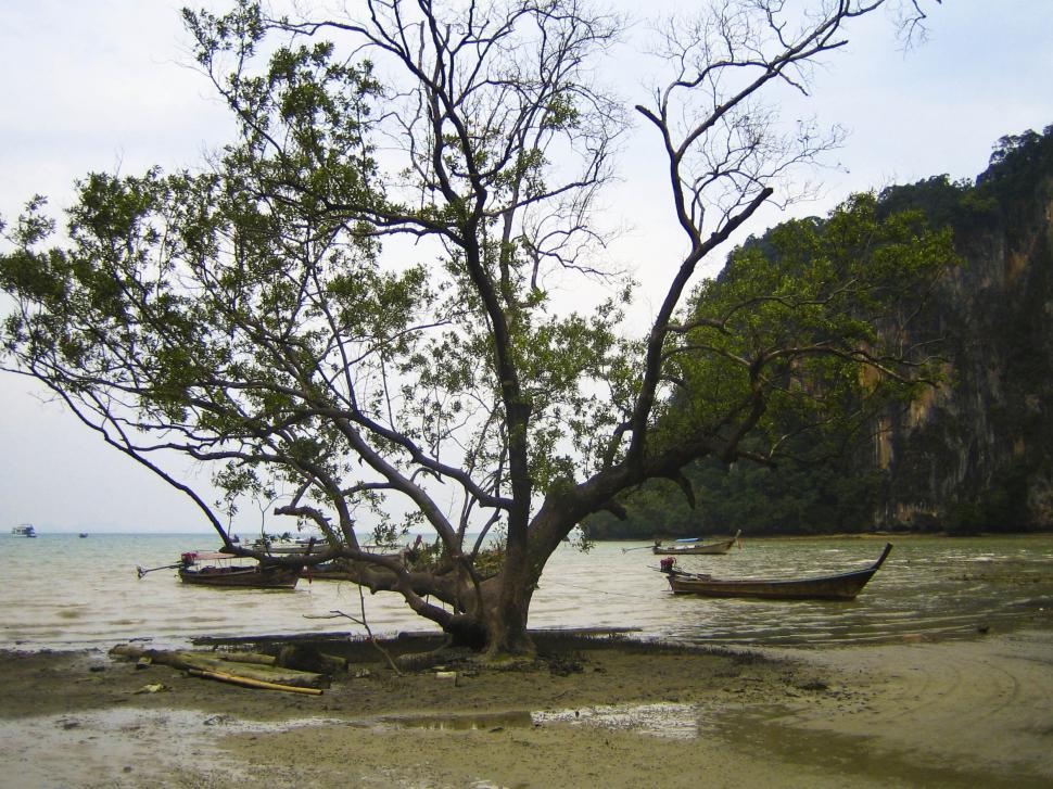 Free Image of boats on the beach in cove 