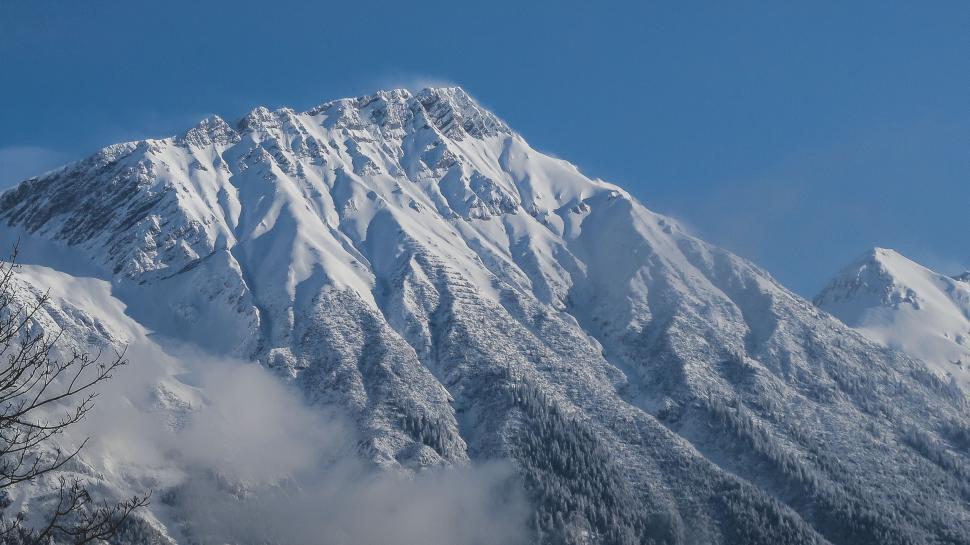 Free Image of Snow Covered Mountain With Foreground Trees 