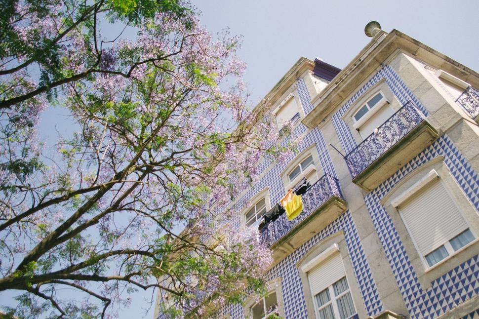 Free Image of Tall Building With Windows Next to Tree 