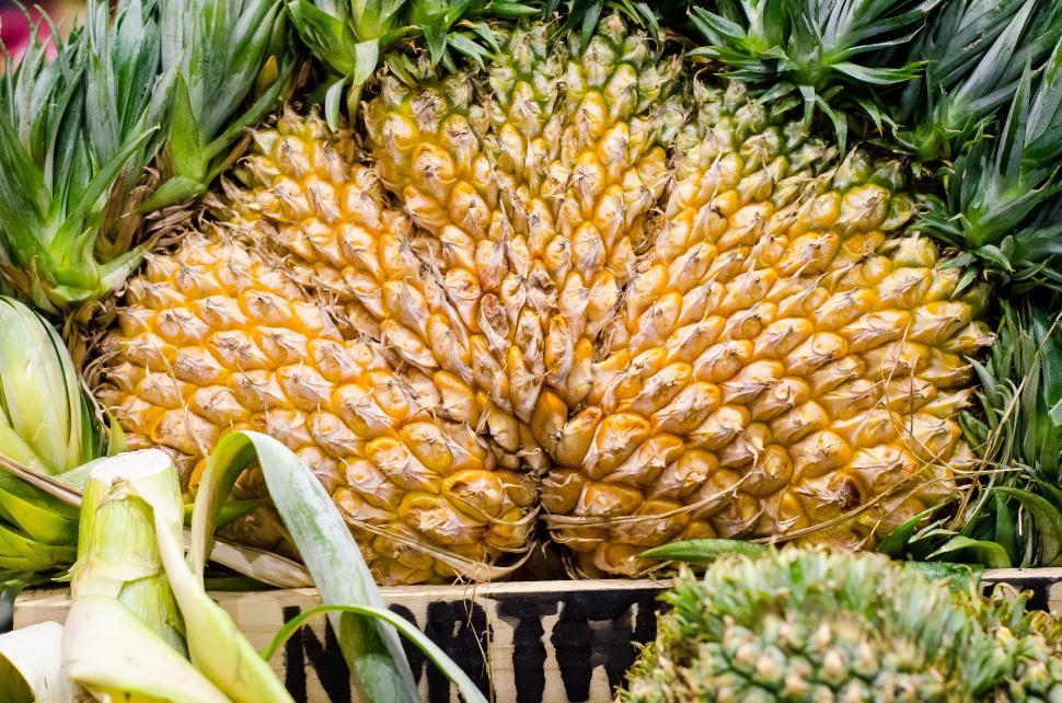 Free Stock Photo of Pineapple Download Free Images and Free Illustrations