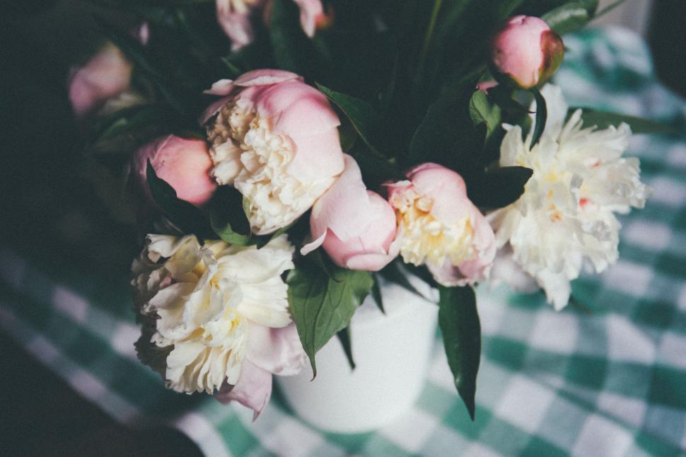 Free Image of White Vase With Pink and White Flowers 