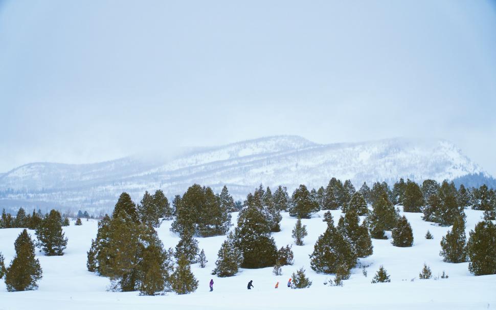 Free Image of Snow Covered Field With Trees and Mountain 