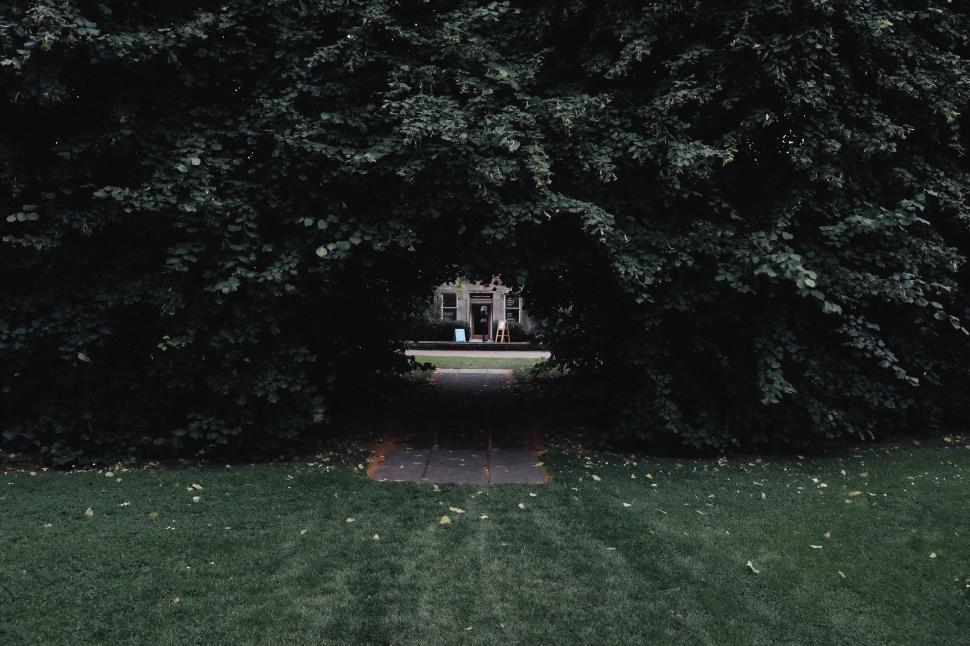 Free Image of A Bench in a Park 