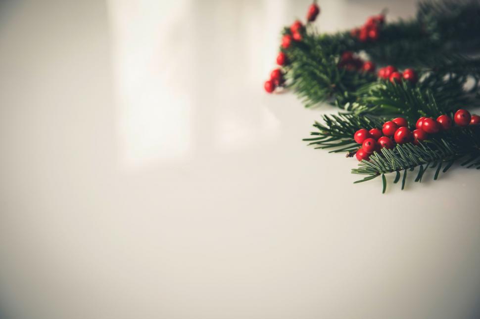 Free Image of Close Up of Pine Branch With Red Berries 