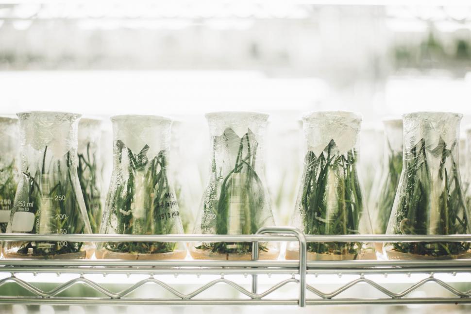 Free Image of Row of Vases on Metal Shelf 