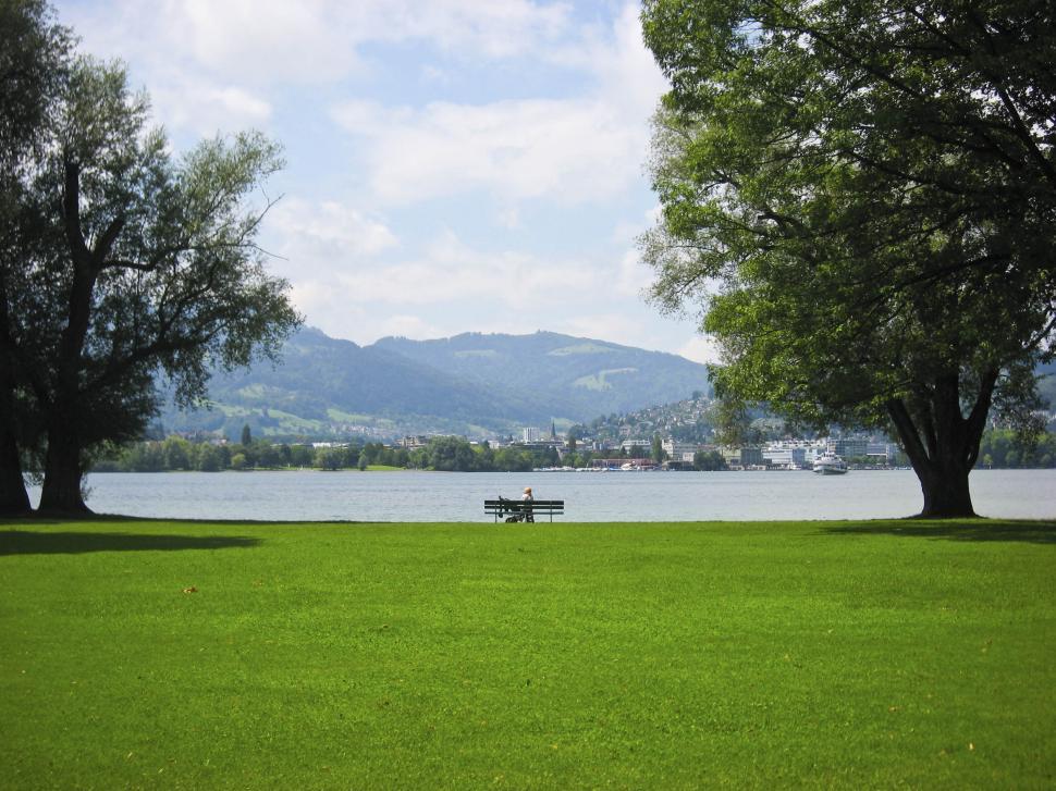 Free Image of Green meadow 