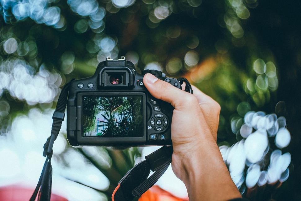 Free Image of Person Holding Camera Up to Take a Picture 