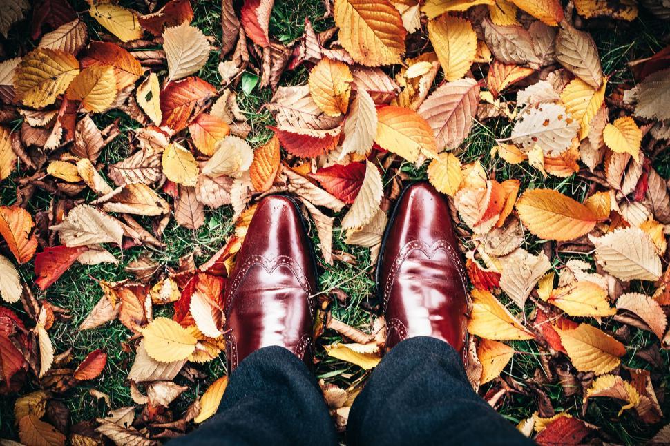 Free Image of Person Standing on Top of Pile of Leaves 