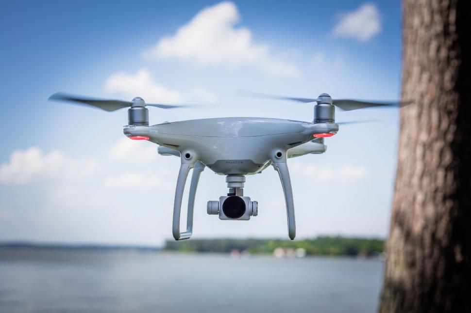 Free Image of Small White Bird Flying Over Body of Water 