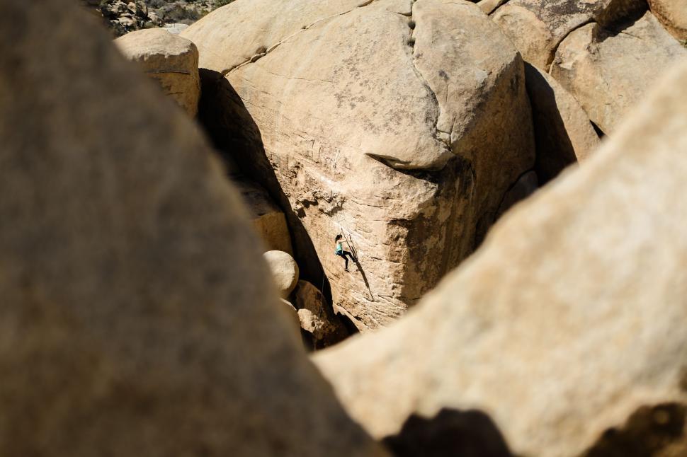 Free Image of Bird Perched on Rock Amidst Rocky Terrain 