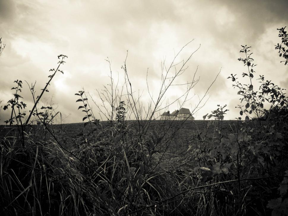 Free Image of countryside with house 