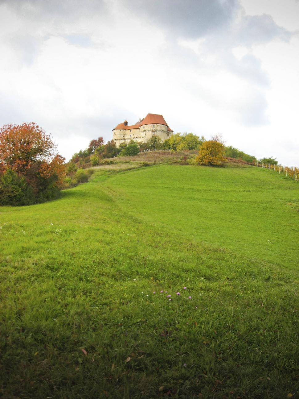 Free Image of castle on a hill of green 
