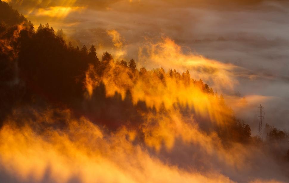 Free Image of Plane Flying Over Fog-Covered Forest 