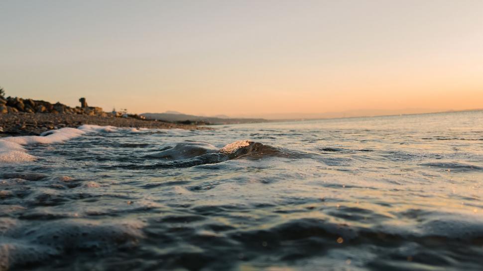 Free Image of Person Riding Surf Board on Body of Water 