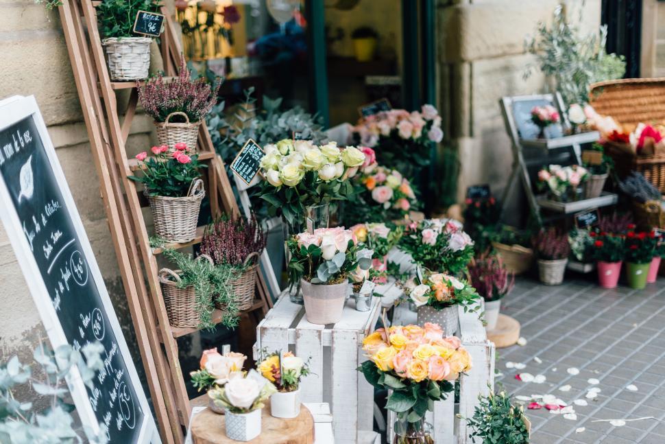 Free Image of Arrangement of Colorful Flowers on a Table 