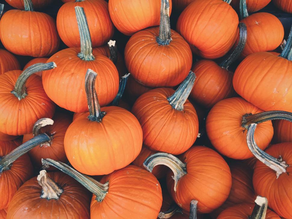 Free Image of A Pile of Orange Pumpkins 