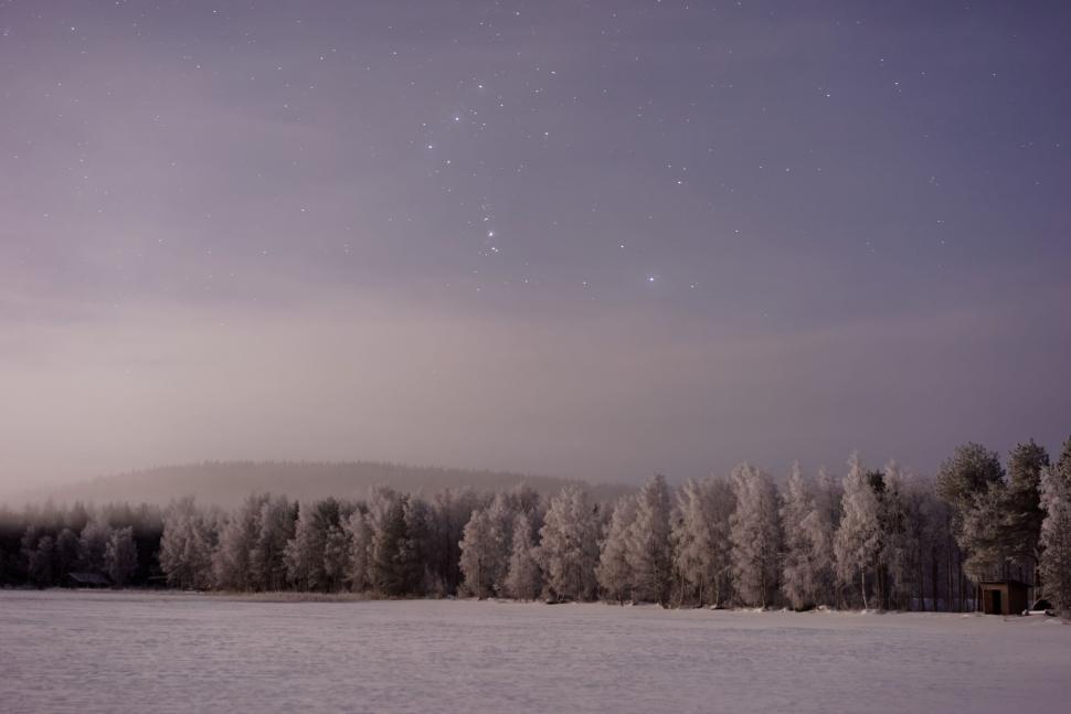 Free Image of Snow Covered Field With Trees in Background 