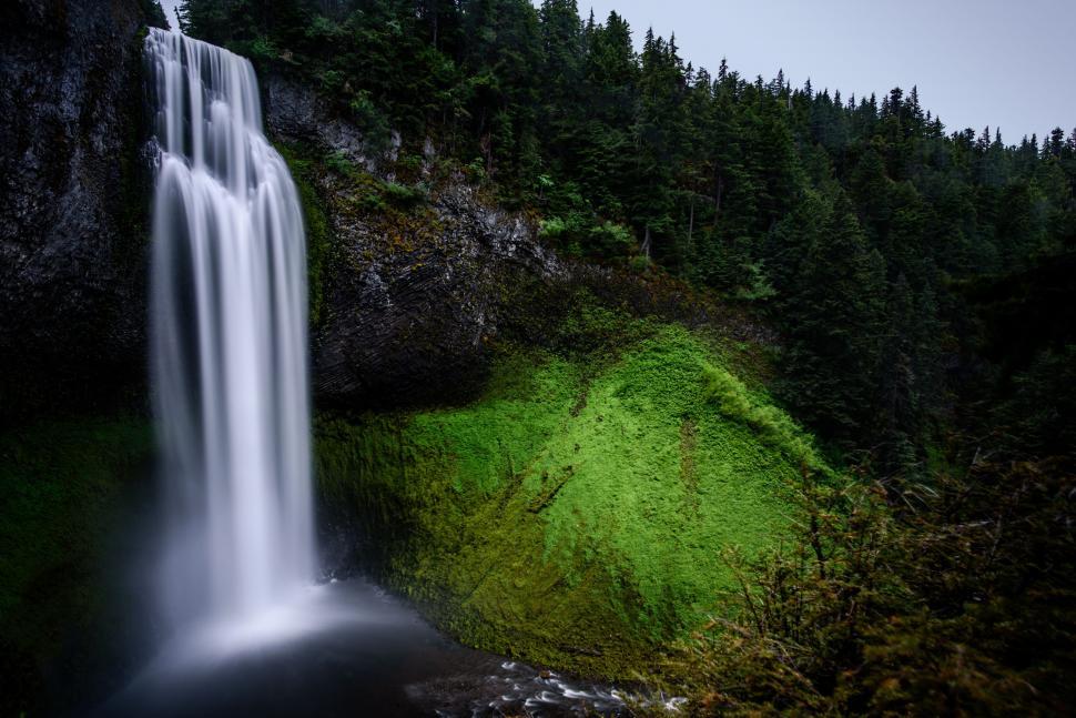 Free Image of Majestic Waterfall Towering Over Lush Green Forest 