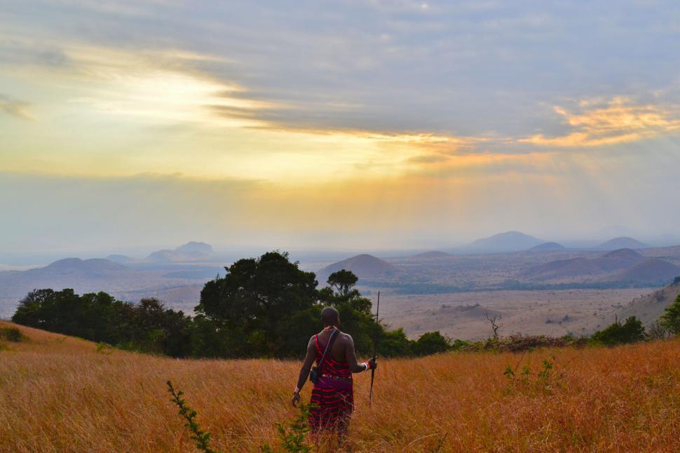 Free Image of Man Walking Through a Field of Tall Grass 