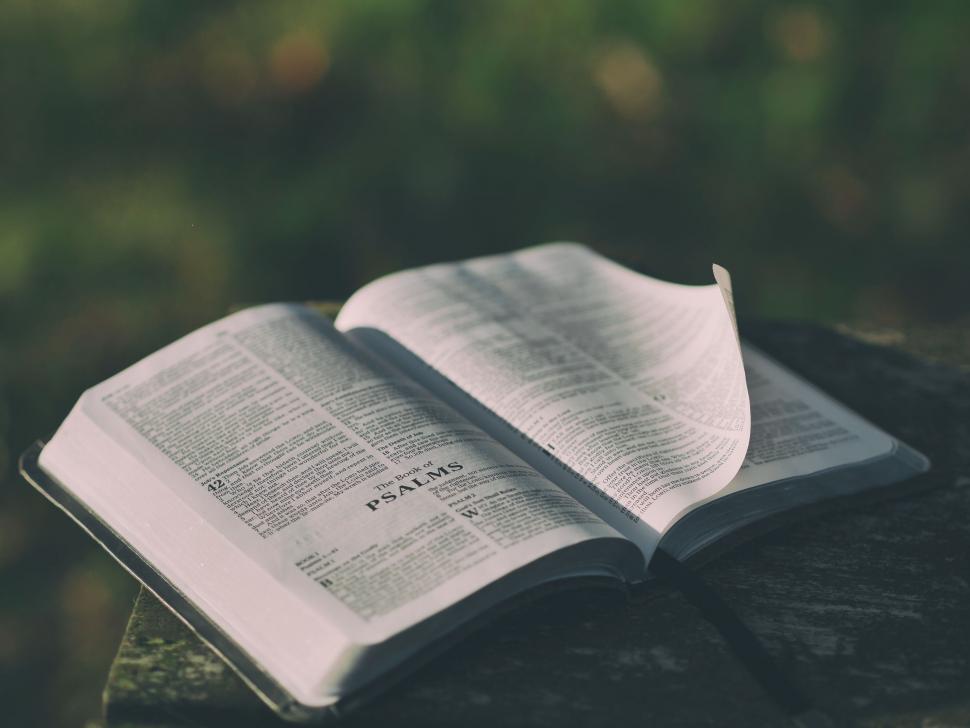 Free Image of Open Book on Tree Stump 