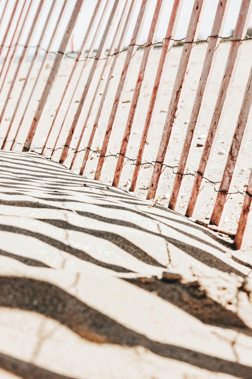 Free Image of Person Riding Skateboard Down Street 