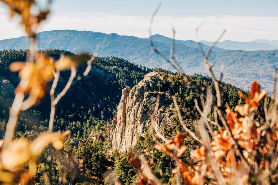 Free Image of Majestic Mountain Range With Trees in Background 