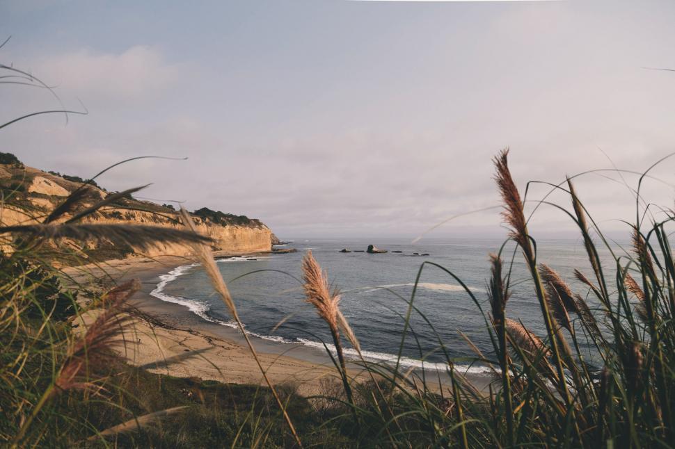 Free Image of Boat Sailing in Waters off a Beach 
