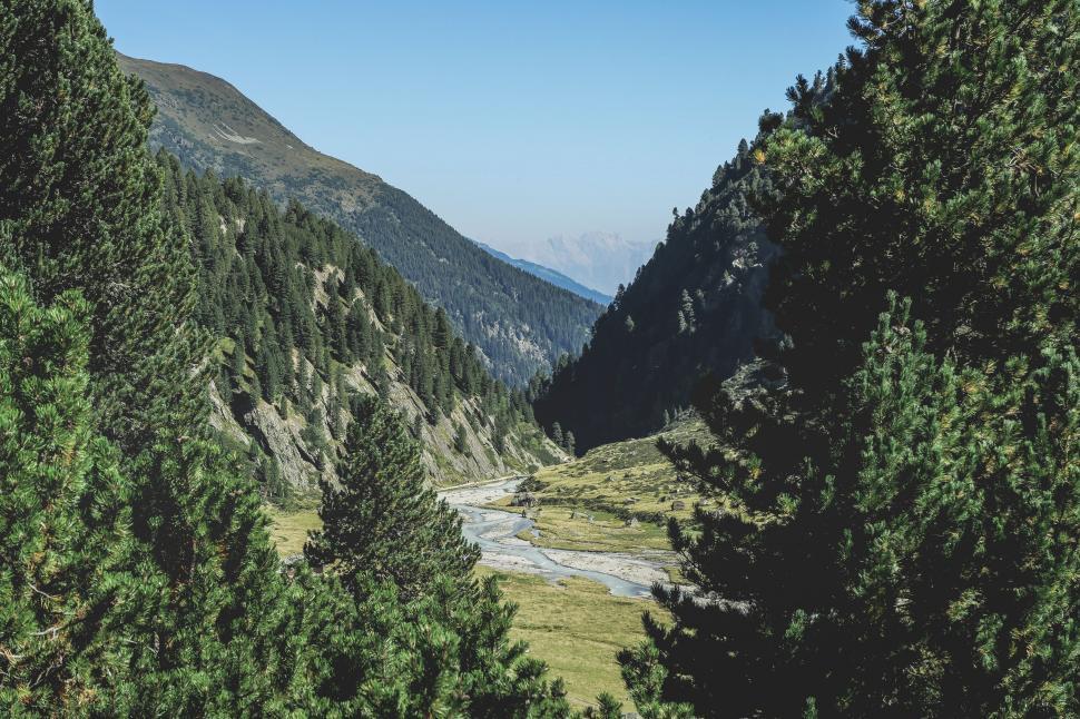 Free Image of A Scenic Valley Surrounded by Trees 