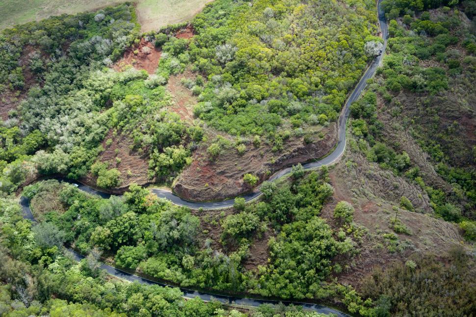 Free Image of Aerial View of Winding Road Surrounded by Trees 