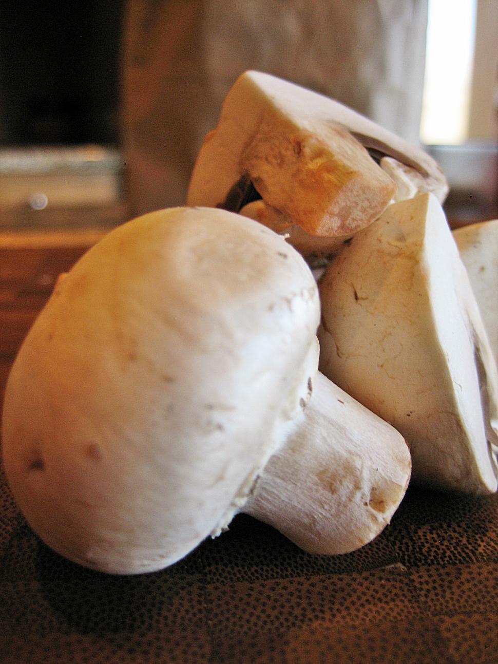 White Button Mushroom I