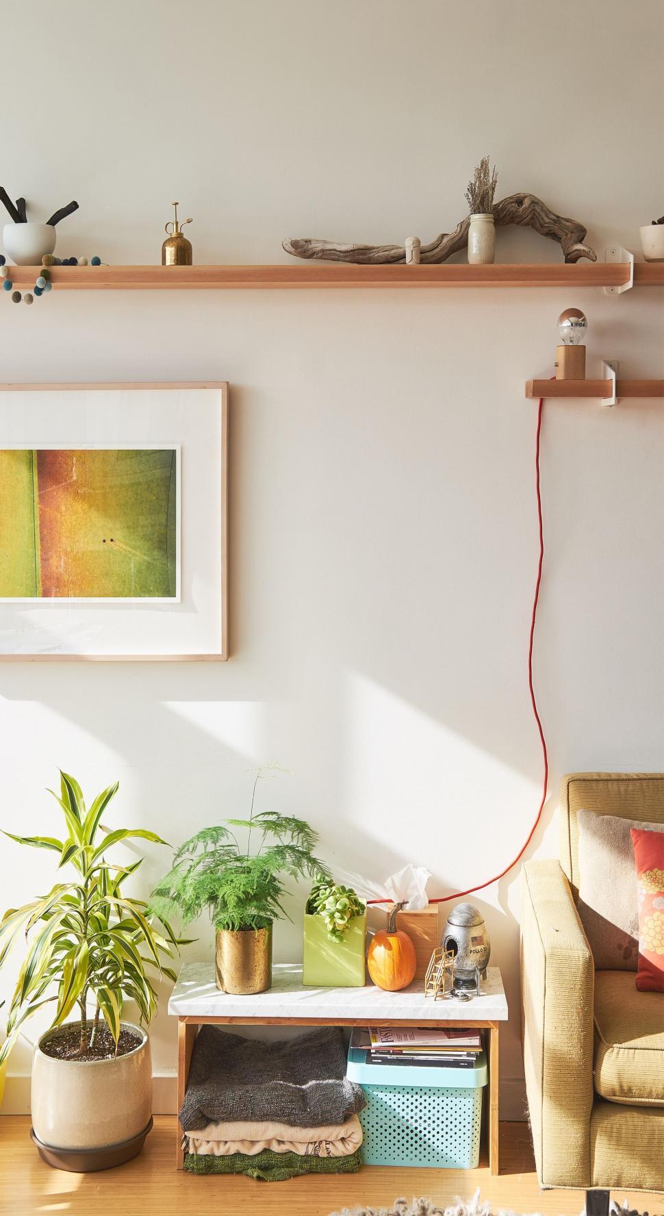 Free Image of A Living Room Filled With Furniture and Plants 